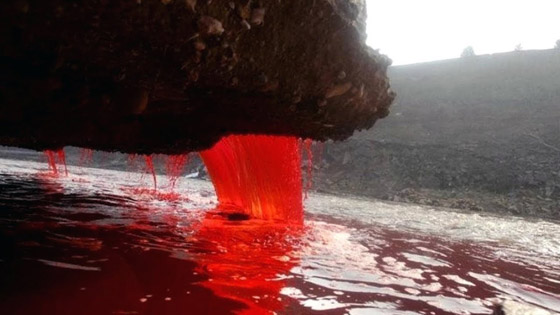 أغرب الظواهر الطبيعية التي أثارت الدهشة وحيرت البشرية صورة رقم 1