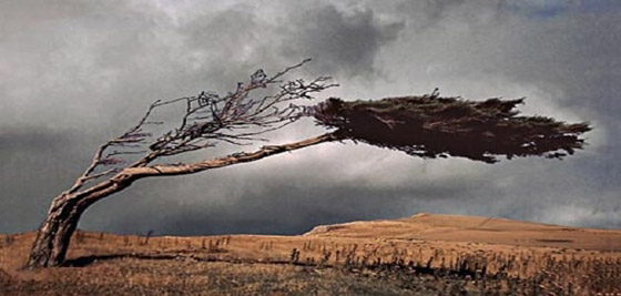 اليكم أكثر 10 أصوات مخيفة يمكن سماعها في الطبيعة صورة رقم 3