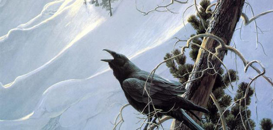 اليكم أكثر 10 أصوات مخيفة يمكن سماعها في الطبيعة صورة رقم 5