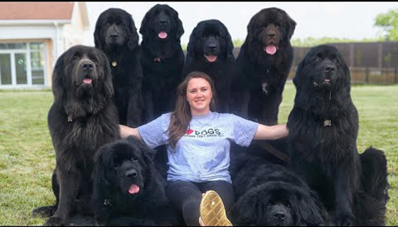 أخطر وأقوى 10 كلاب في العالم 2022 صورة رقم 1