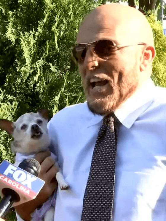 أكبر كلبة في العالم تزيح 