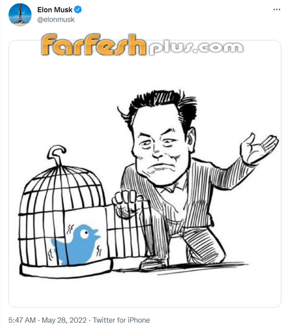 صورة بألف معنى.. الملياردير إيلون ماسك 