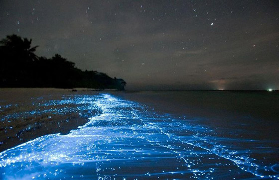 بالصور: تعرفوا إلى أغرب 6 أماكن على وجه الأرض ستثير دهشتكم صورة رقم 6