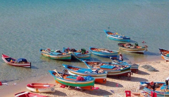 سمك الشاوري في بنزرت التونسية.. مهرجان سنوي يحيي عادات الأجداد صورة رقم 5