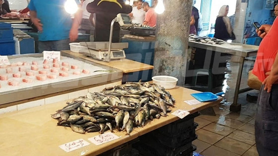 سمك الشاوري في بنزرت التونسية.. مهرجان سنوي يحيي عادات الأجداد صورة رقم 7