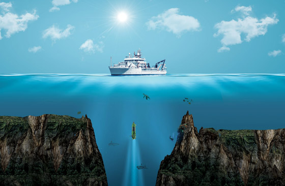 عرض رحلة بحرية لمثلث برمودا.. الشركة ستقدم تعويضا إذا اختفت السفينة! صورة رقم 3