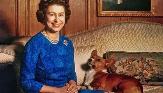 4 حقائق مذهلة عن فستان الملكة إليزابيث في 