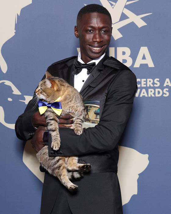 نجم مهرجان كان.. قصة قط أوكراني حصد جائزة 