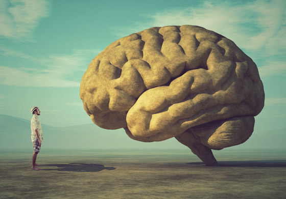 أدمغة البشر كانت أكبر حجما قبل 3 آلاف عام.. فهل كنا أكثر ذكاء؟ صورة رقم 1