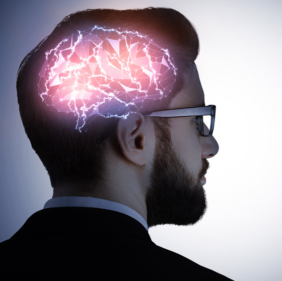 أدمغة البشر كانت أكبر حجما قبل 3 آلاف عام.. فهل كنا أكثر ذكاء؟ صورة رقم 2