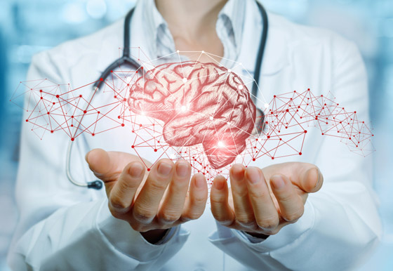 أدمغة البشر كانت أكبر حجما قبل 3 آلاف عام.. فهل كنا أكثر ذكاء؟ صورة رقم 3