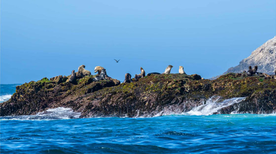 بالصور: تعرفوا إلى أخطر 10 جزر في العالم والتي يجب الابتعاد عنها صورة رقم 8