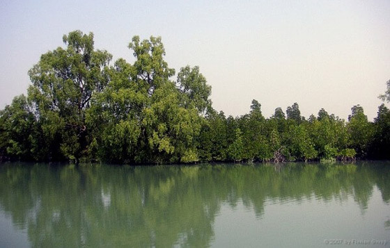 بالصور: تعرفوا إلى أخطر 10 جزر في العالم والتي يجب الابتعاد عنها صورة رقم 10