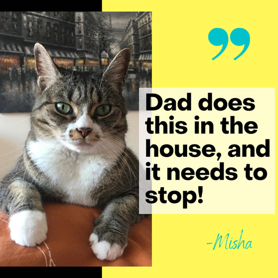 تترك وظيفة بـ60 ألف إسترليني سنوياً للعمل في 