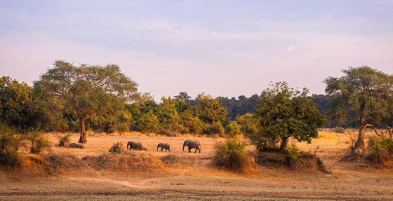 بالصور: تعرفوا إلى أفضل الوجهات السياحية في يونيو (حزيران) 2022 صورة رقم 5