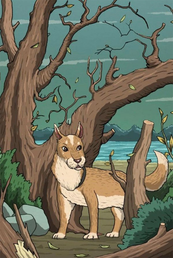 وهم بصري يحتاج تركيزا.. هل تستطيع تبين القطة؟ صورة رقم 1