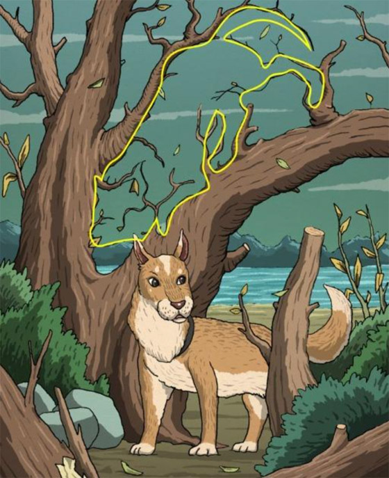 وهم بصري يحتاج تركيزا.. هل تستطيع تبين القطة؟ صورة رقم 2