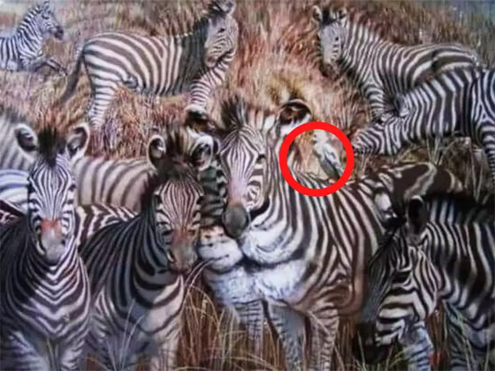 ما تراه أولا بالصورة يكشف عن صفتك المهيمنة التي تحدد هويتك..! صورة رقم 4 ما تراه أولا بالصورة يكشف عن صفتك المهيمنة التي تحدد هويتك..! صورة رقم 4