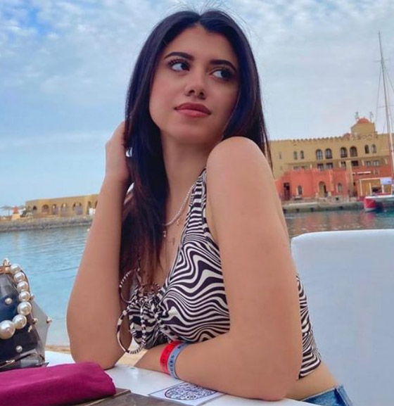 هجوم النجوم على مبروك عطية بسبب فتاة المنصورة، بينهم أنغام، أصالة وهنا الزاهد صورة رقم 19 هجوم النجوم على مبروك عطية بسبب فتاة المنصورة، بينهم أنغام، أصالة وهنا الزاهد صورة رقم 19