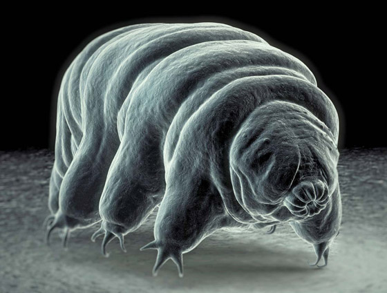 غادرت الأرض لأول مرة عام 2007.. كيف تستطيع 