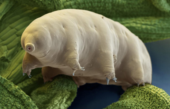 غادرت الأرض لأول مرة عام 2007.. كيف تستطيع 