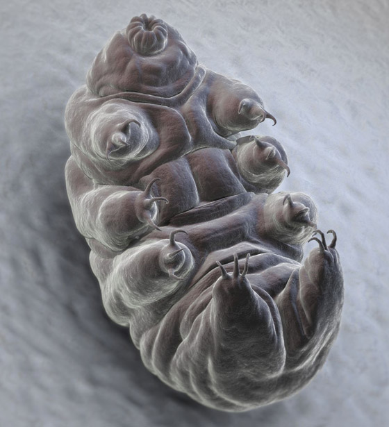 غادرت الأرض لأول مرة عام 2007.. كيف تستطيع 