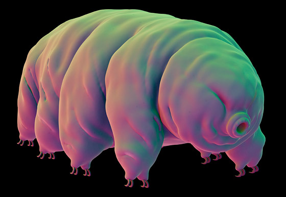 غادرت الأرض لأول مرة عام 2007.. كيف تستطيع 