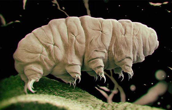 غادرت الأرض لأول مرة عام 2007.. كيف تستطيع 