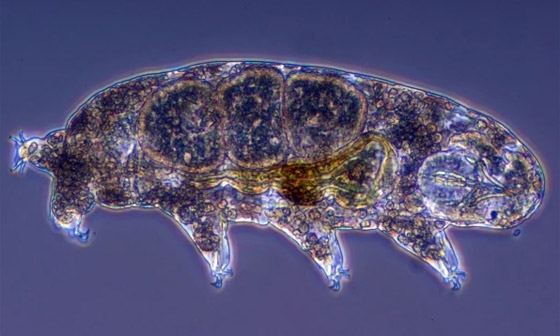 غادرت الأرض لأول مرة عام 2007.. كيف تستطيع 