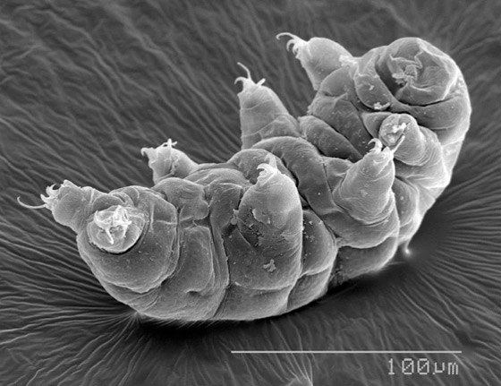 غادرت الأرض لأول مرة عام 2007.. كيف تستطيع 