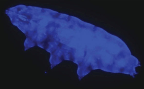 غادرت الأرض لأول مرة عام 2007.. كيف تستطيع 