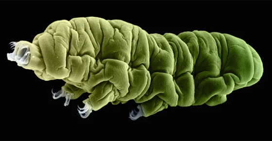 غادرت الأرض لأول مرة عام 2007.. كيف تستطيع 