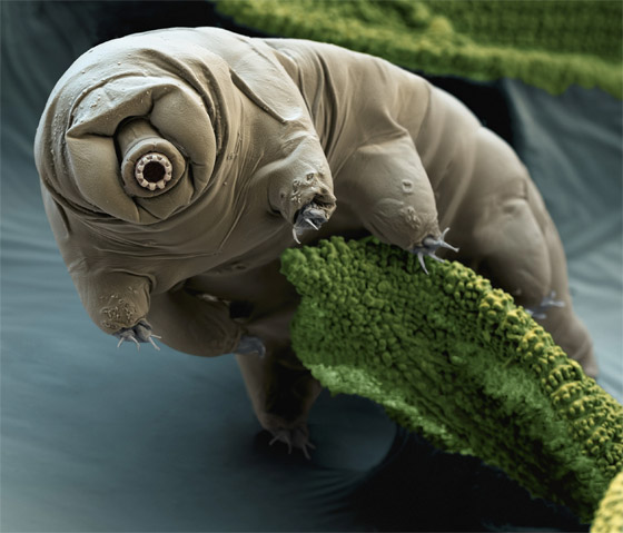 غادرت الأرض لأول مرة عام 2007.. كيف تستطيع 