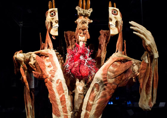 أغرب المتاحف بالعالم: أحدها يجمع شعر نساء وآخر يعرض الجثث البشرية! صورة رقم 6