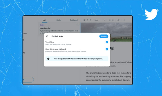 تويتر تختبر ميزة جديدة.. نصوص طويلة بلا قيود (فيديو) صورة رقم 2