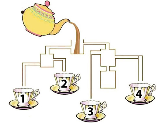 يحتاج تركيزا.. حاول أن تصل لحل اللغز في 20 ثانية فقط! صورة رقم 1