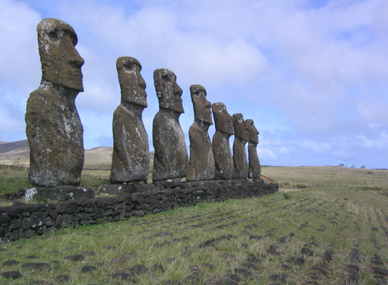 إحداها مليئة بالعرائس المرعبة وأخرى 