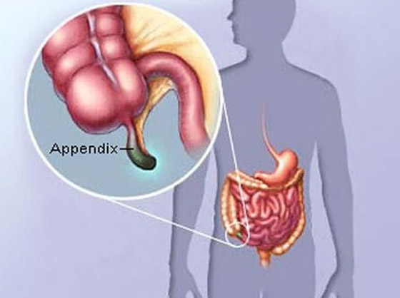 شعر الإبط والرموش.. أسباب امتلاك البشر لبعض الأجزاء العجيبة بالجسم صورة رقم 6