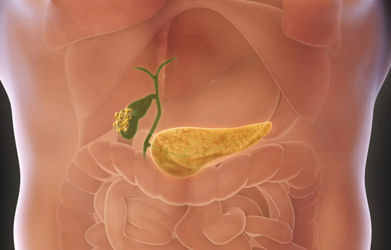 شعر الإبط والرموش.. أسباب امتلاك البشر لبعض الأجزاء العجيبة بالجسم صورة رقم 11