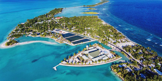 بعضها له تاريخ عتيق.. إليك دول في العالم ستسمع باسمها لأول مرة! صورة رقم 11