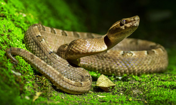 منها النوم.. تعرفوا إلى أغرب الوظائف في العالم! لن تصدقوا أنها موجودة صورة رقم 3