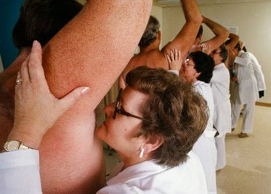 منها النوم.. تعرفوا إلى أغرب الوظائف في العالم! لن تصدقوا أنها موجودة صورة رقم 4