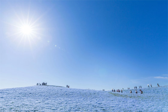 مصور يوثق مشهدا من بُعد آخر.. أين يقع هذا 