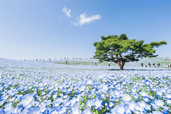 مصور يوثق مشهدا من بُعد آخر.. أين يقع هذا 