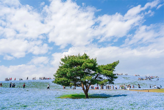 مصور يوثق مشهدا من بُعد آخر.. أين يقع هذا 