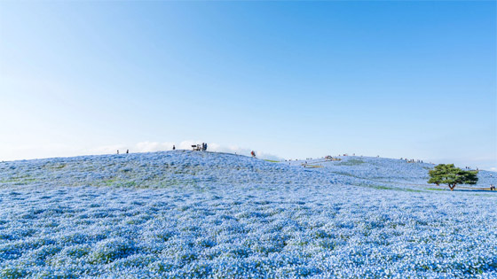 مصور يوثق مشهدا من بُعد آخر.. أين يقع هذا 