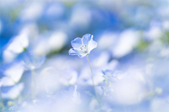 مصور يوثق مشهدا من بُعد آخر.. أين يقع هذا 