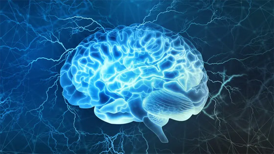 دماغنا أيضا يحتاج للتمارين.. إليكم أبسطها! صورة رقم 2 دماغنا أيضا يحتاج للتمارين.. إليكم أبسطها! صورة رقم 2