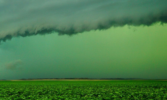 السماء خضراء.. ظاهرة غريبة ترعب مدينة أمريكية! صور صورة رقم 9