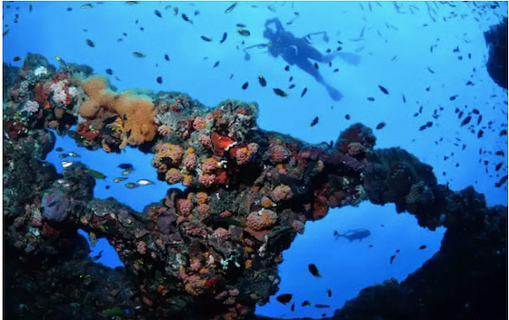 أفضل أماكن الغوص حول العالم صورة رقم 6